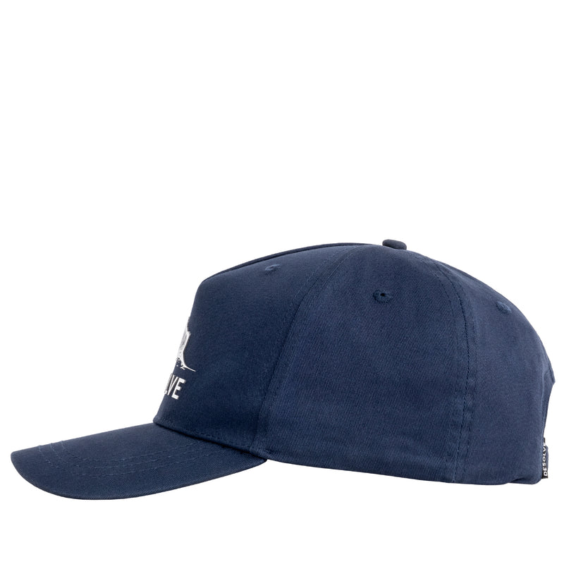 Desolve - Istio Cap
