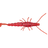 Blood Red