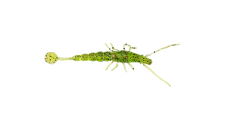 Halco Madeyes - Paddle Prawn 3"