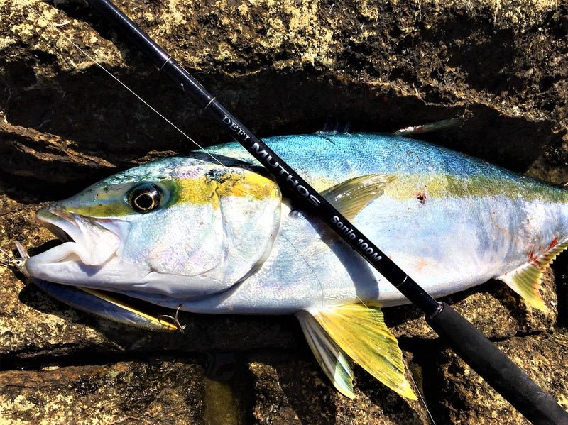 Zenaq - Muthos Sonio 100M RG Topwater Rod