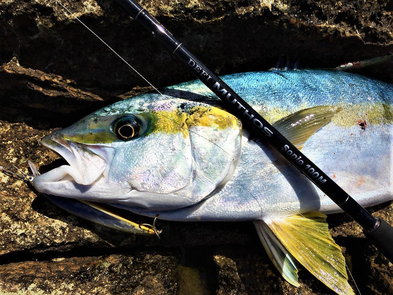Zenaq - Muthos Sonio 100M RG Topwater Rod