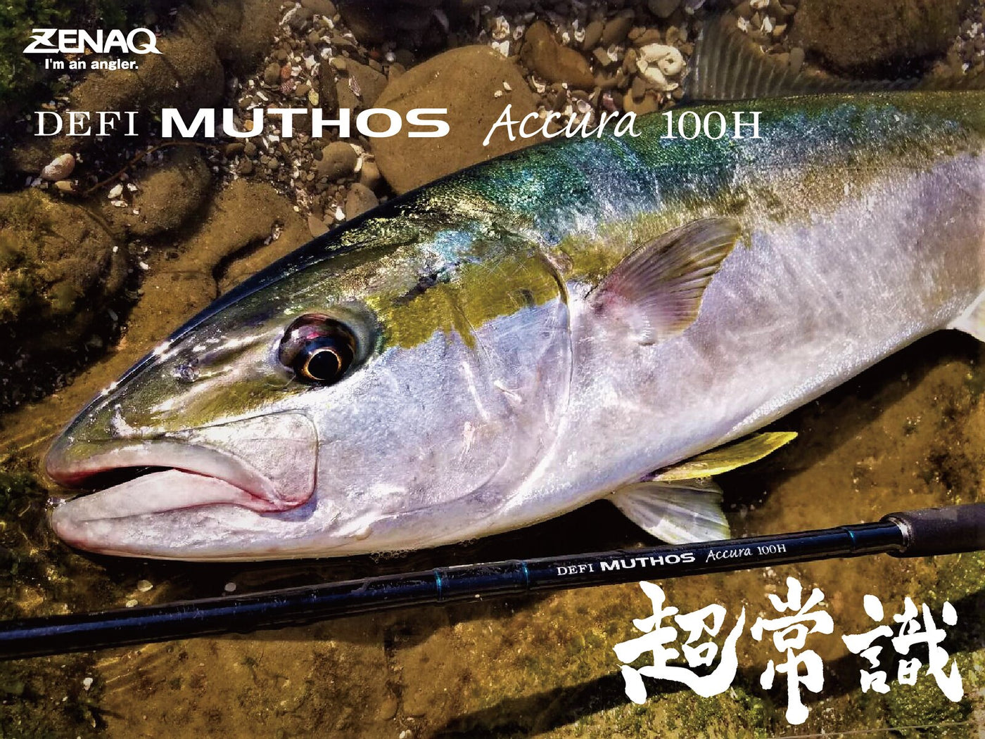 Zenaq - Muthos Accura 100H Ocean Topwater Rod
