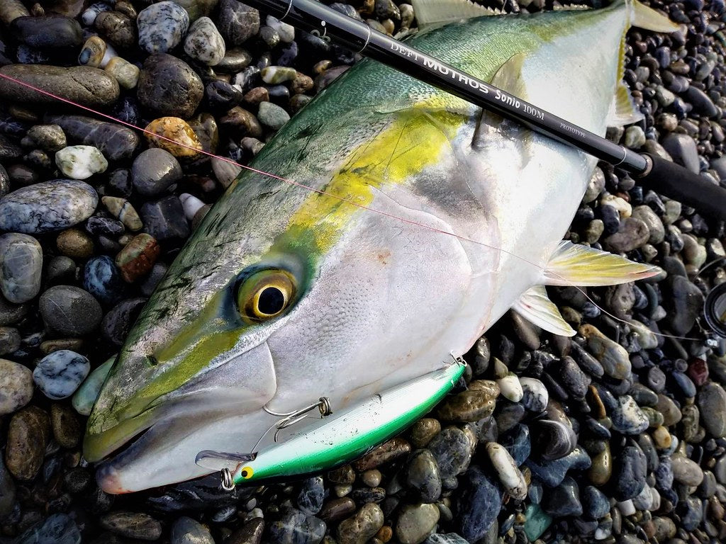 Zenaq - Muthos Sonio 100M RG Topwater Rod