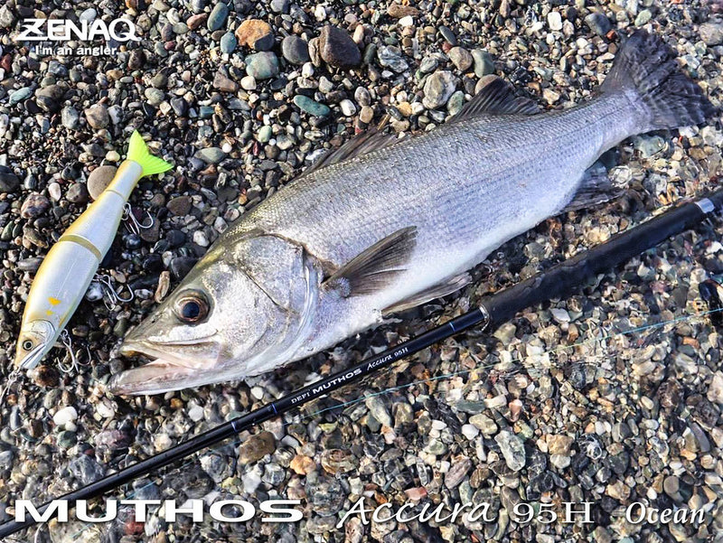 Zenaq - Muthos Accura 95H Ocean Topwater Rod