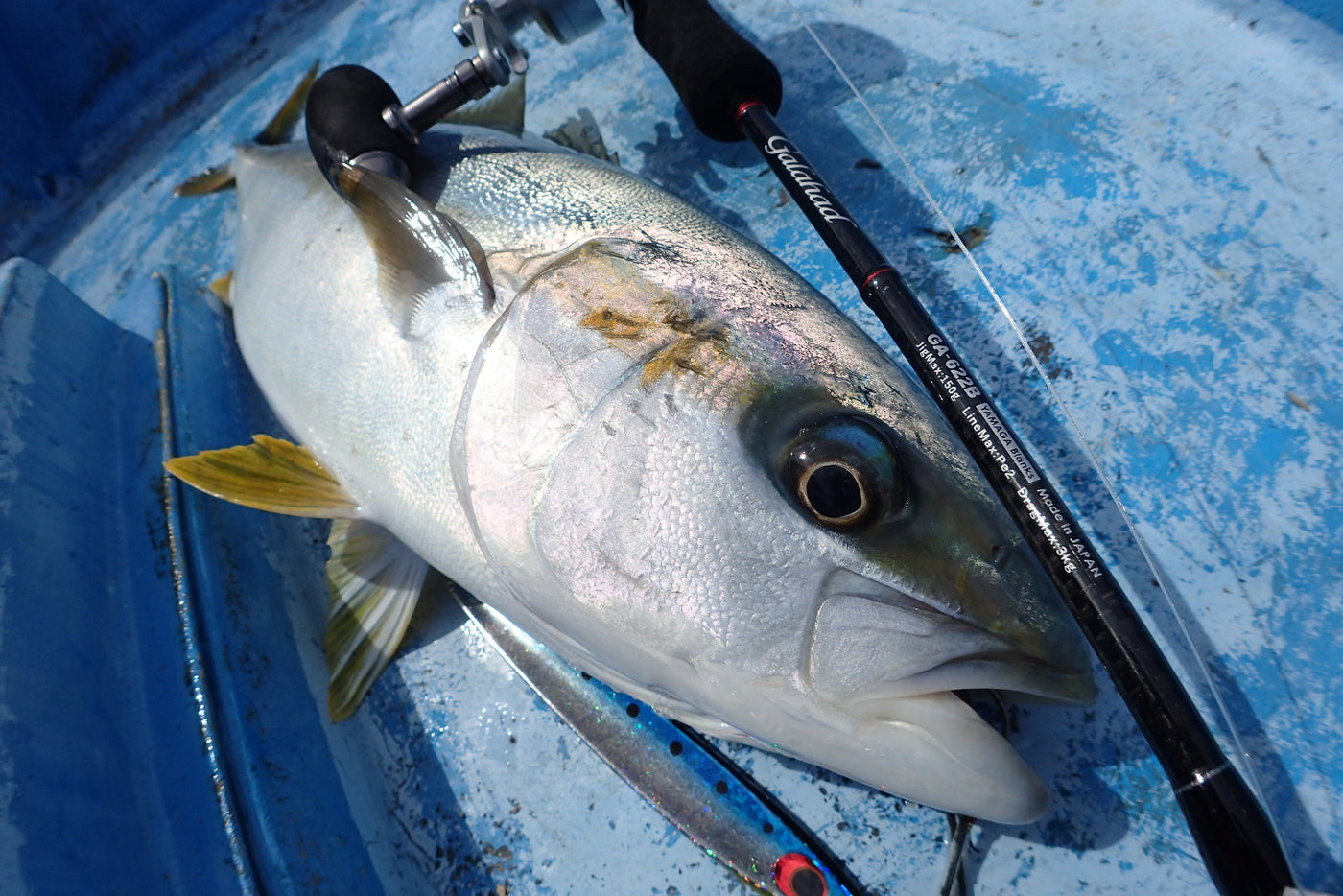 Yamaga Blanks - Galahad 622B Overhead Rod