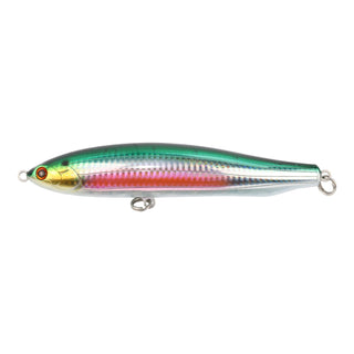 #6 Halfbeak