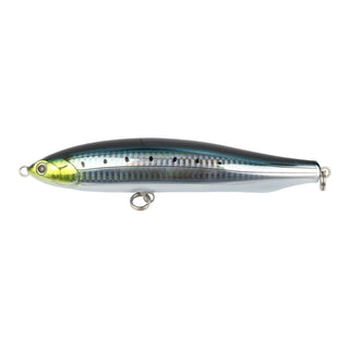 #7 Sardine