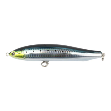 #7 Sardine