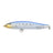 #19 Clear Sardines