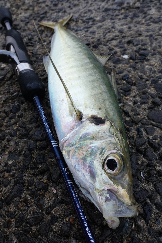 Yamaga Blanks - Blue Current III 53 Spinning Rod