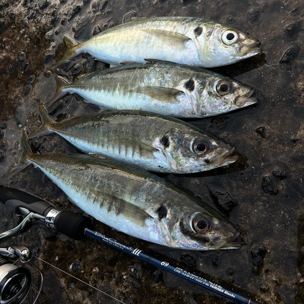 Yamaga Blanks - Blue Current III 69 Spinning Rod