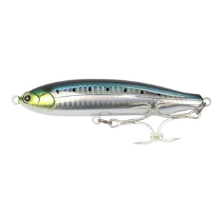 #7 Sardine