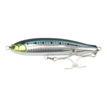 #7 Sardine