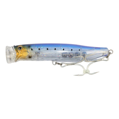 #19 Clear Sardine