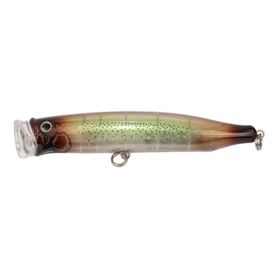 #20 Squid