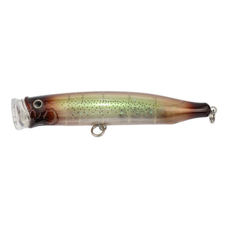 #20 Squid