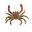 #20 Sandcrab