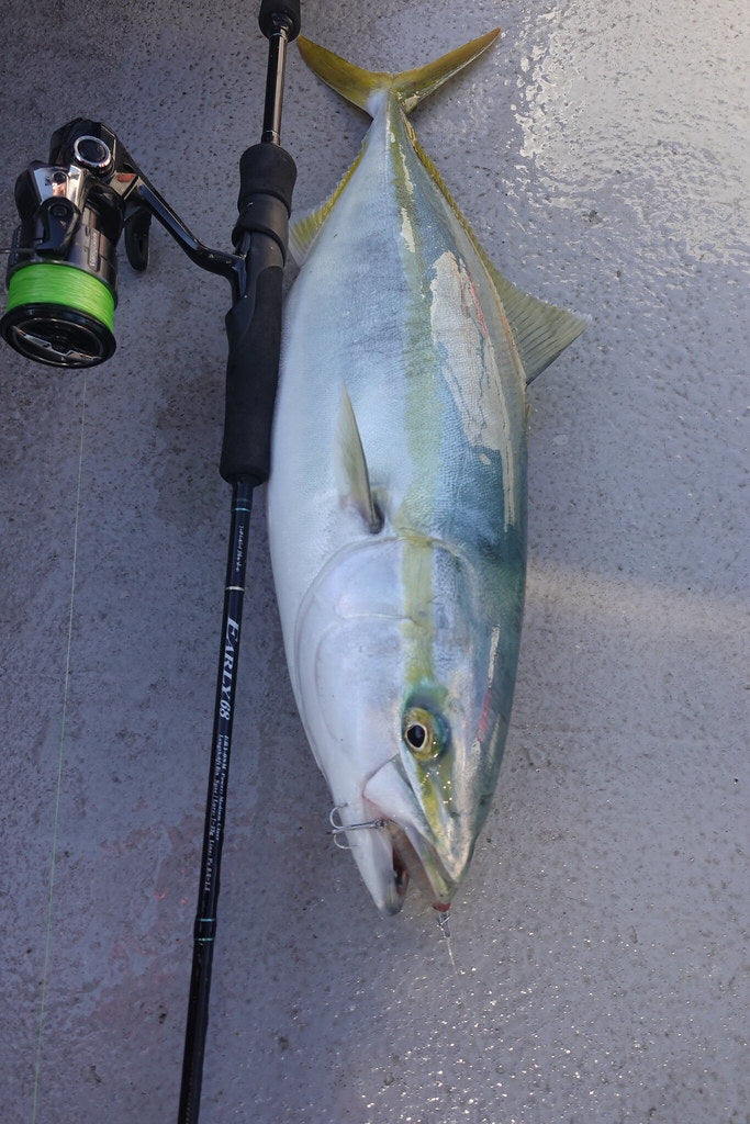 Yamaga Blanks - Early Boat 68M Spinning Rod