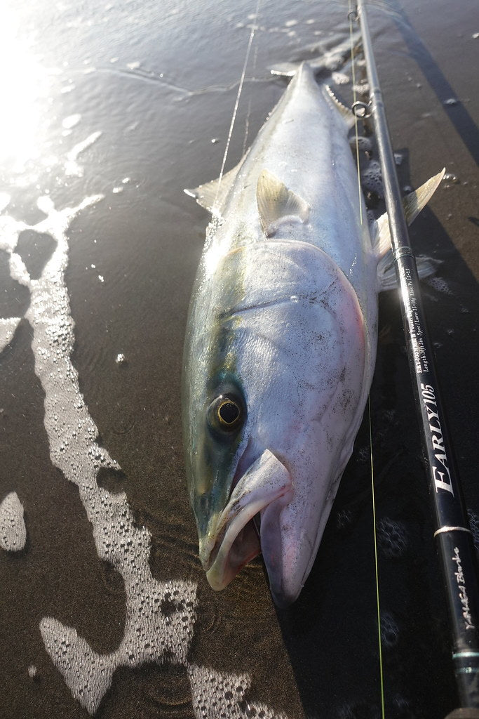Yamaga Blanks - Early Surf 105MMH/B Overhead Rod
