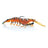 #04 Green Prawn