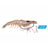 #01 Jelly Prawn