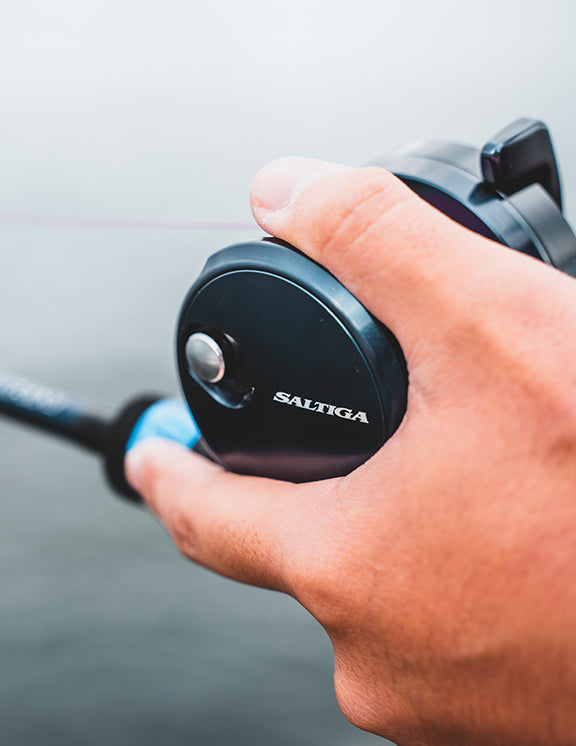 Daiwa - 22 SALTIGA 15S