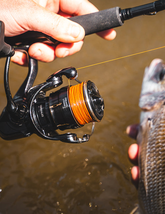 Daiwa - 26 FREAMS LT2500D