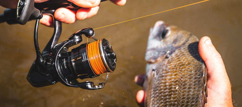 Daiwa - 26 FREAMS LT4000-C