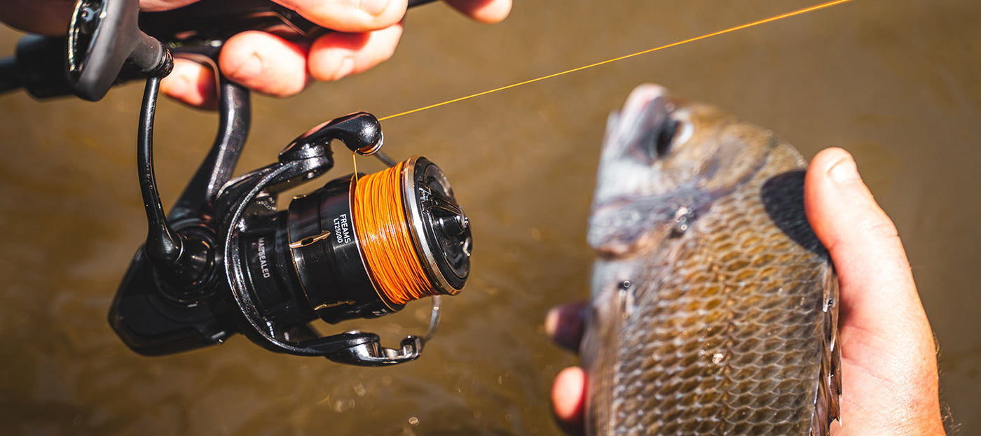 Daiwa - 26 FREAMS LT5000D-CXH
