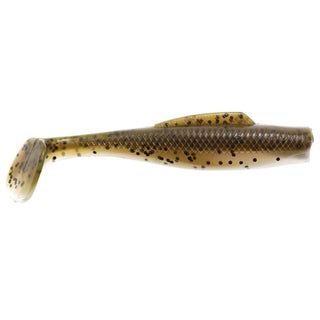 Mud Minnow