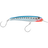 Pilchard