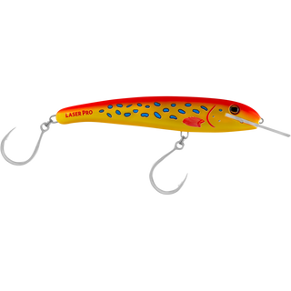 Coral Trout