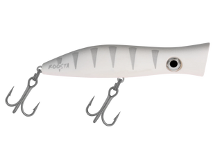 Silver Shadow