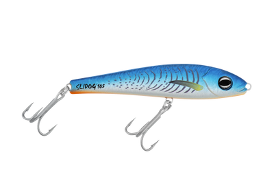 Blue Fluoro