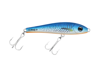 Blue Fluoro