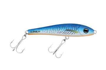 Blue Fluoro