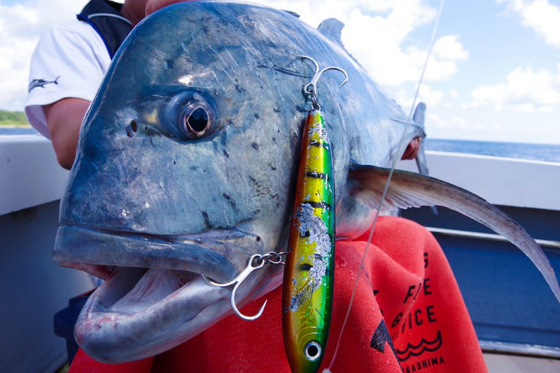 Ripple Fisher - OceanRidge Reversal GT80 Nano Topwater Rod