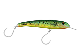 Bonito