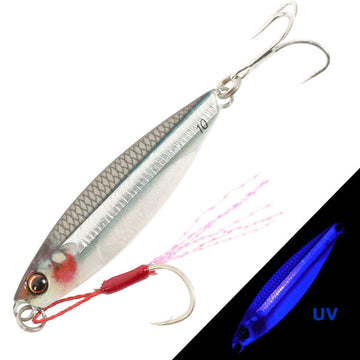 86 Live Kibinago (UV)
