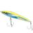 Fusi