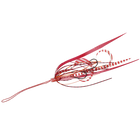 #1 Red Shrimp