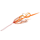 #2 Orange Shrimp