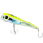 Fusi