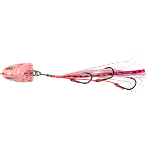 Coral Prawn Glow