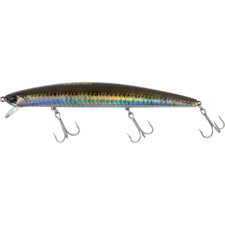 Real Sand Lance