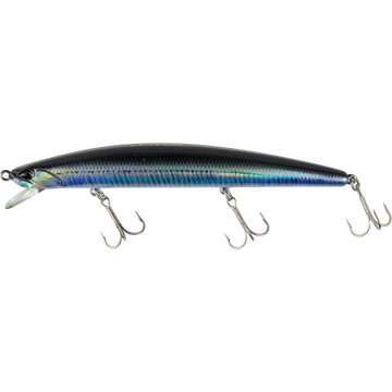 Real Anchovy
