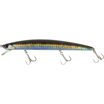 Real Sand Lance