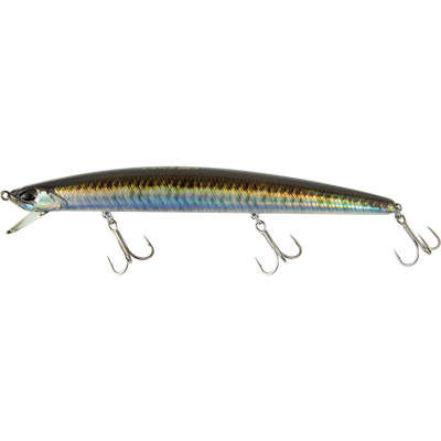 Real Sand Lance