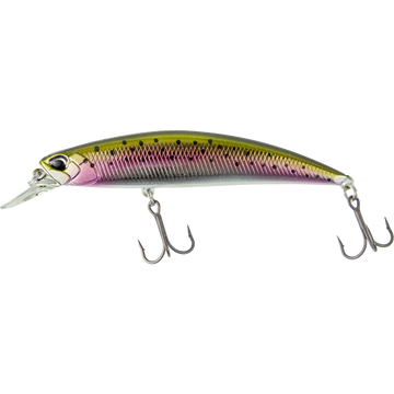 Rainbow Trout
