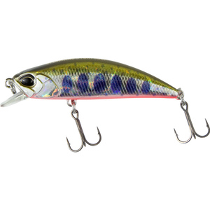 Yamame Red Belly